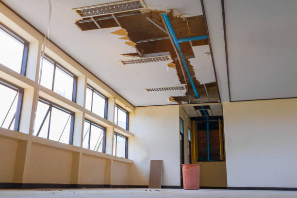 Best 24-hour water damage restoration  in Lakewood Ranch, FL
