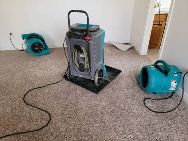 Best Professional water damage repair  in Lakewood Ranch, FL