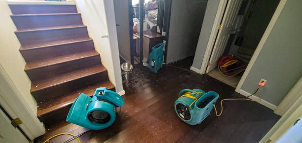 Professional Water damage restoration in FL