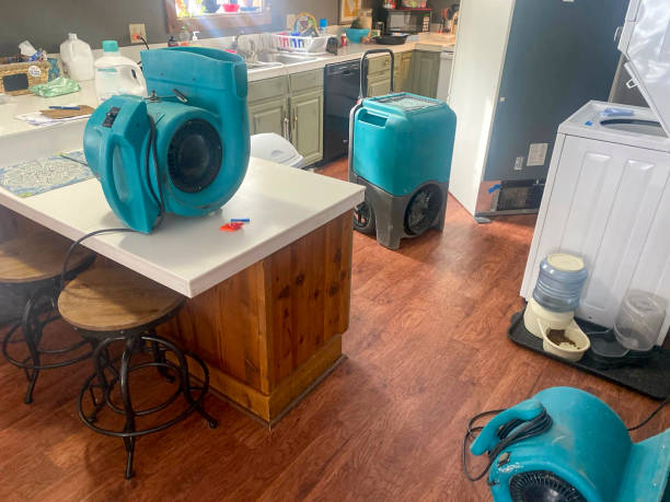 Best Basement water damage restoration  in Lakewood Ranch, FL