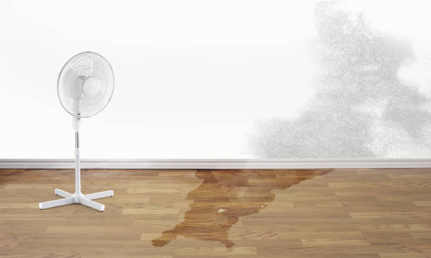 Best Professional water damage repair  in Lakewood Ranch, FL