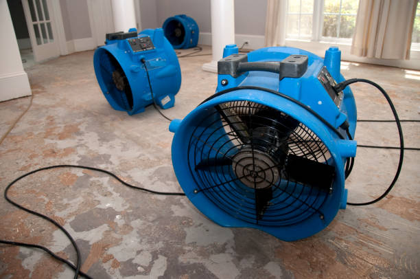 Best Residential water damage restoration  in Lakewood Ranch, FL