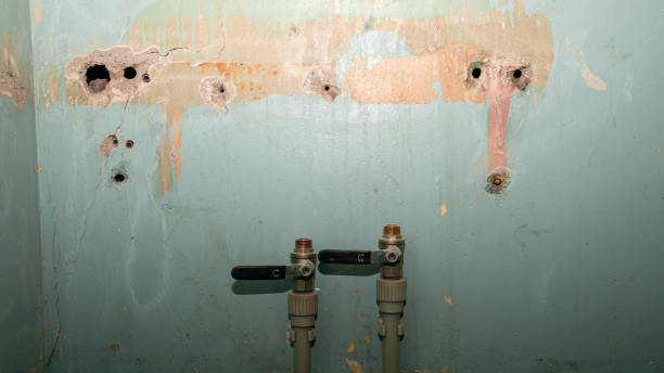 Best Emergency water damage restoration  in Lakewood Ranch, FL