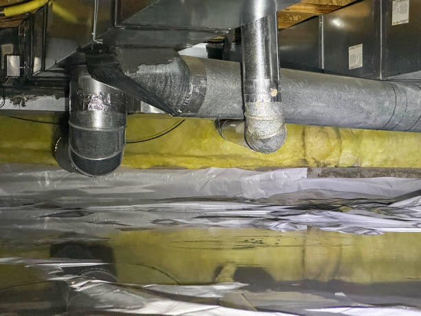 Best Sewage cleanup and water damage restoration  in Lakewood Ranch, FL