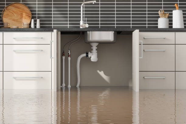 Best 24/7 water damage repair  in Lakewood Ranch, FL