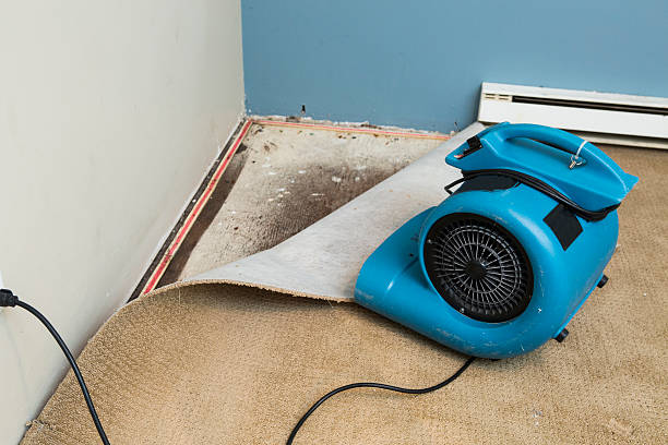 Best Water damage restoration cost  in Lakewood Ranch, FL